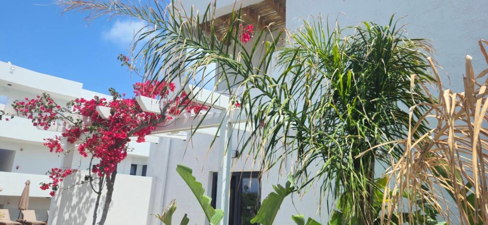 Aegean View Hotel - Adults Only สฟากากิ ภายนอก รูปภาพ